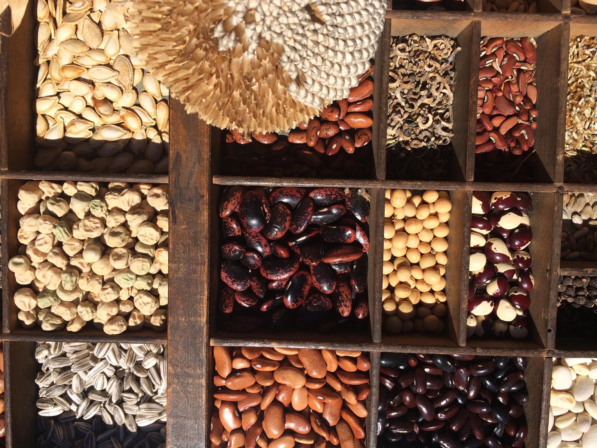 Spring & Summer Seed Swap