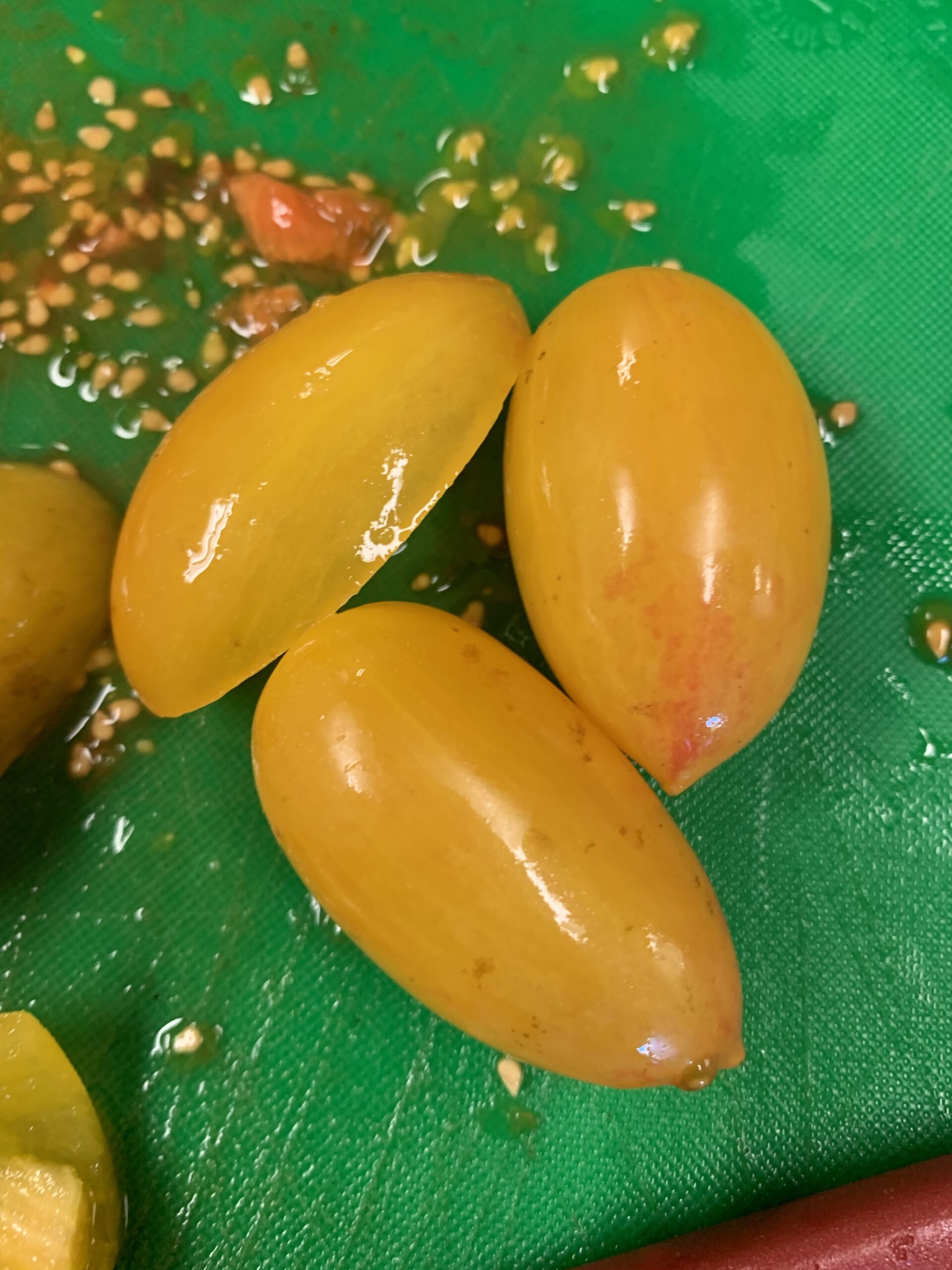 Growing tomatoes in Canberra in a wet season – tips and tricks