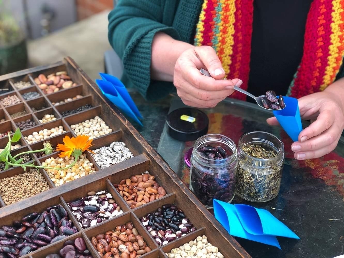 SEED SAVERS ONLINE FORUM: CONNECTING SEEDY PEOPLE ACROSS AUSTRALIA