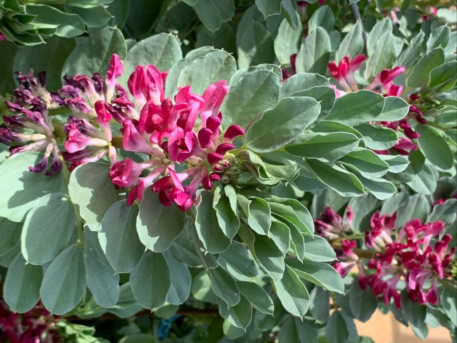 Working for Community