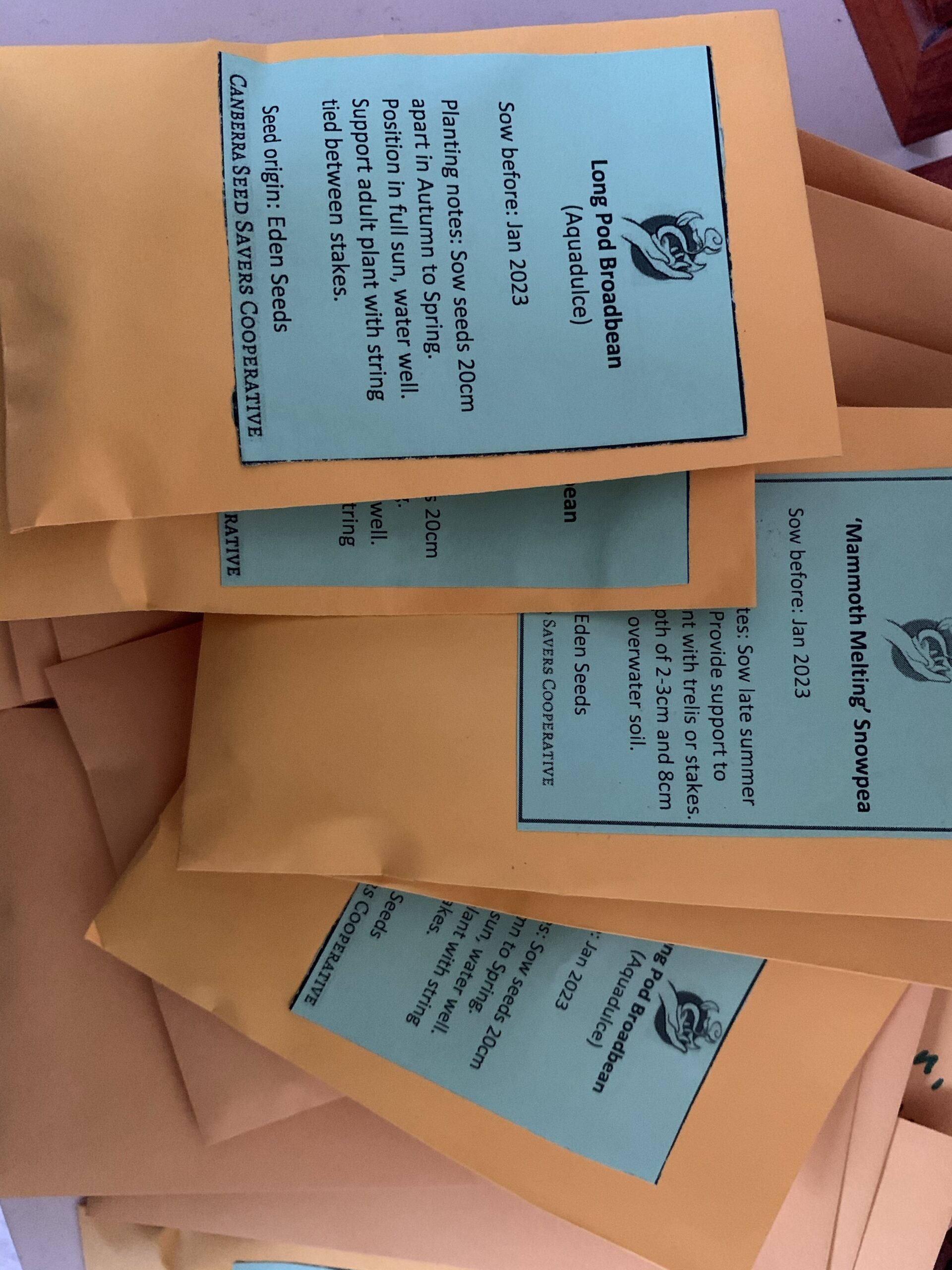 Growing Herbs & Veggies from Seed